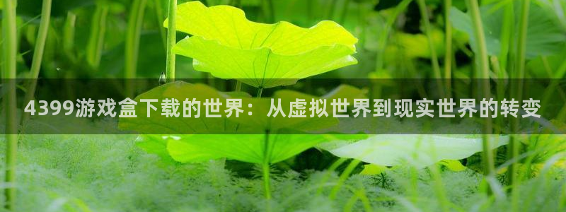 4399游戏盒下载的世界：从虚拟世界到现实世界的转变