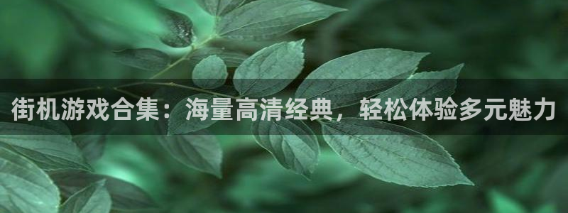 街机游戏合集：海量高清经典，轻松体验多元魅力