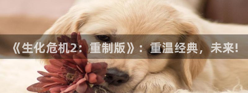 欧陆娱乐app官网下载地址在哪：《生化危机2：重制版》：重温