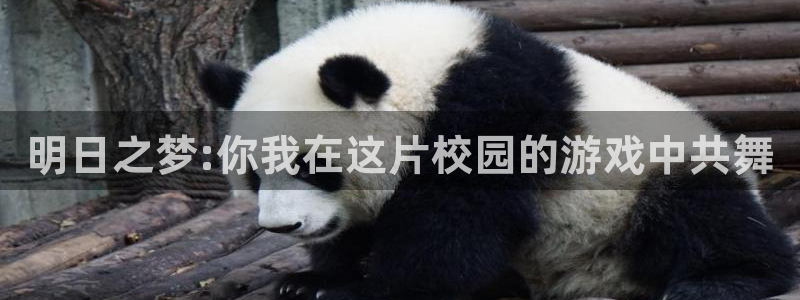 欧陆娱乐滩官网注册入口：明日之梦:你我在这片校园的游戏中共舞