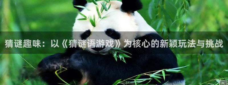 欧陆娱乐官网最新版本更新内容：猜谜趣味：以《猜谜语游戏》为核