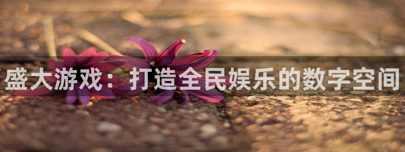 欧陆娱乐数字化：盛大游戏：打造全民娱乐的数字空间
