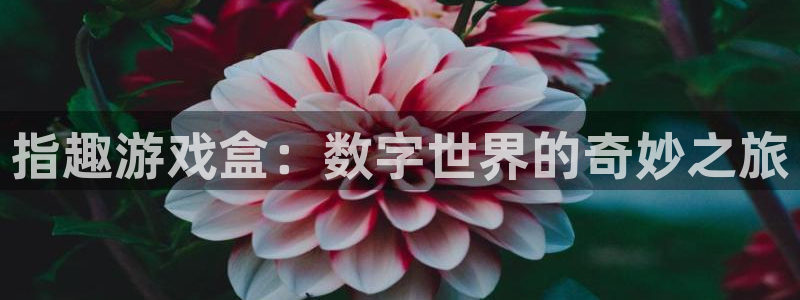 欧陆娱乐游戏：指趣游戏盒：数字世界的奇妙之旅