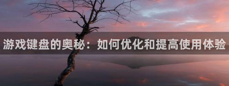欧陆娱乐登录唯一：游戏键盘的奥秘：如何优化和提高使用体验