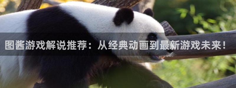 欧陆娱乐负责人