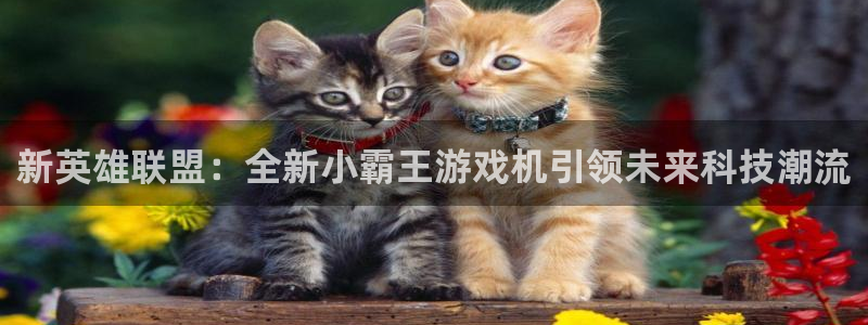 欧陆娱乐app下载官网：新英雄联盟：全新小霸王游戏机引领未来