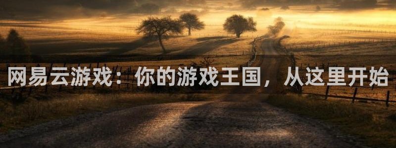 欧陆娱乐官方网站下载：网易云游戏：你的游戏王国，从这里开始